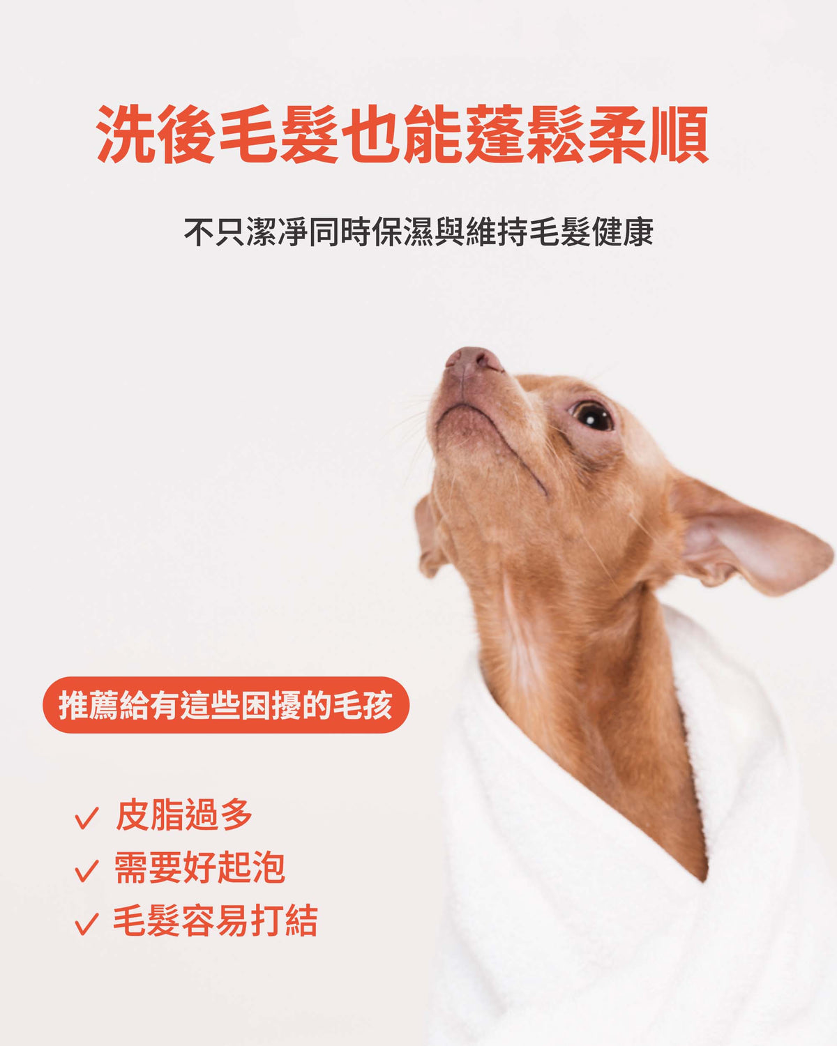 蓬鬆溫和寵物洗毛精