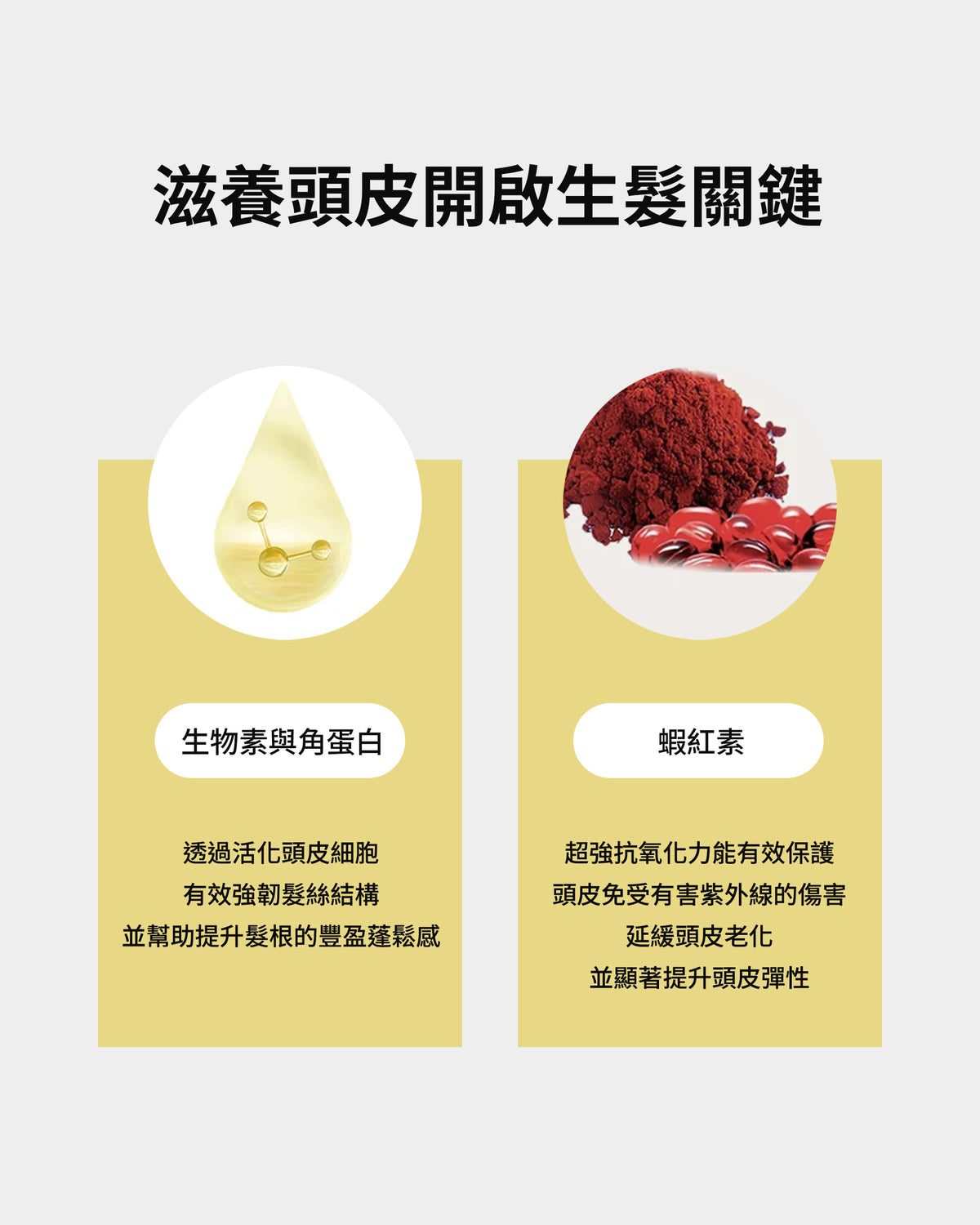 黃金賦活豐盈洗髮精 500ml