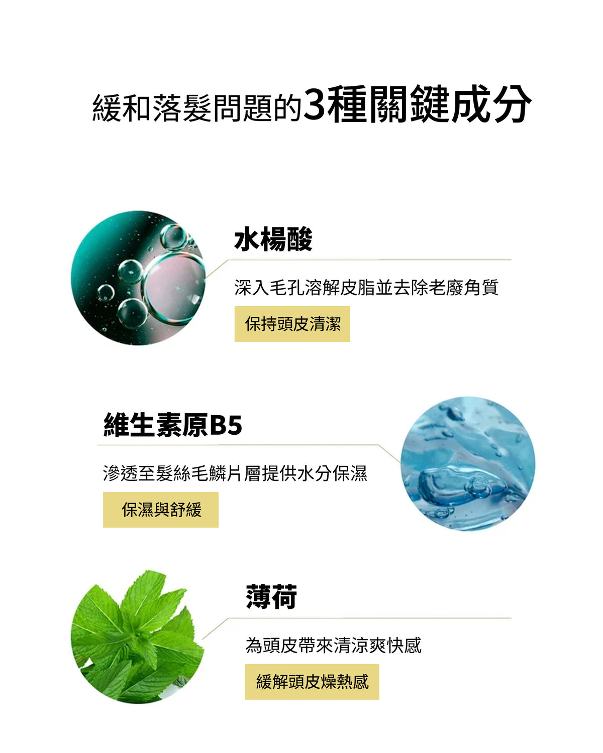黃金賦活豐盈洗髮精 500ml