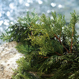 DOLCE&amp;GABBANA Light Blue Heart Mark Men's Eau de Toilette 125ml 