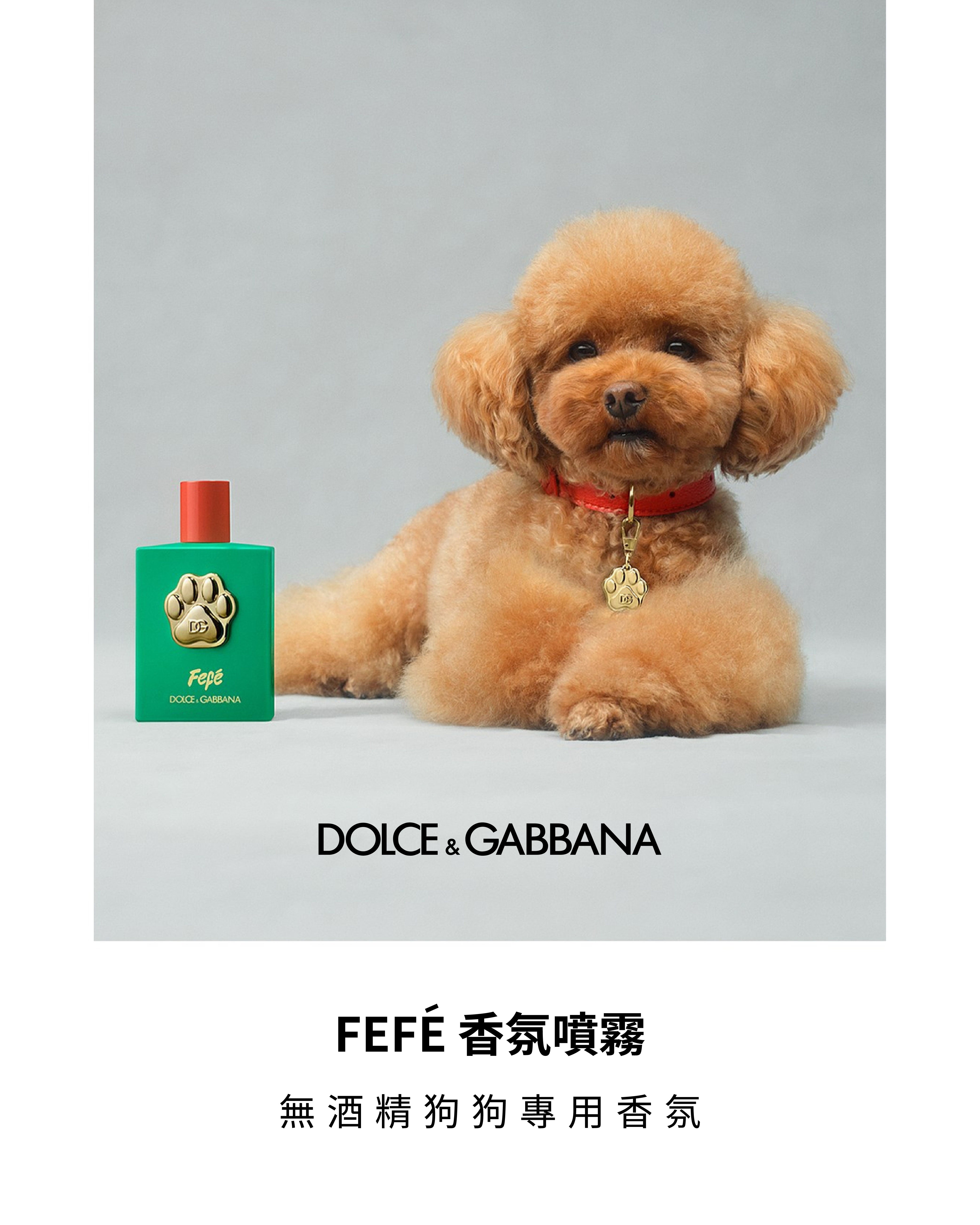 Fefé 寵物香氛噴霧 100ml